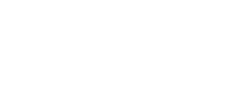 Digits-womensclothing store